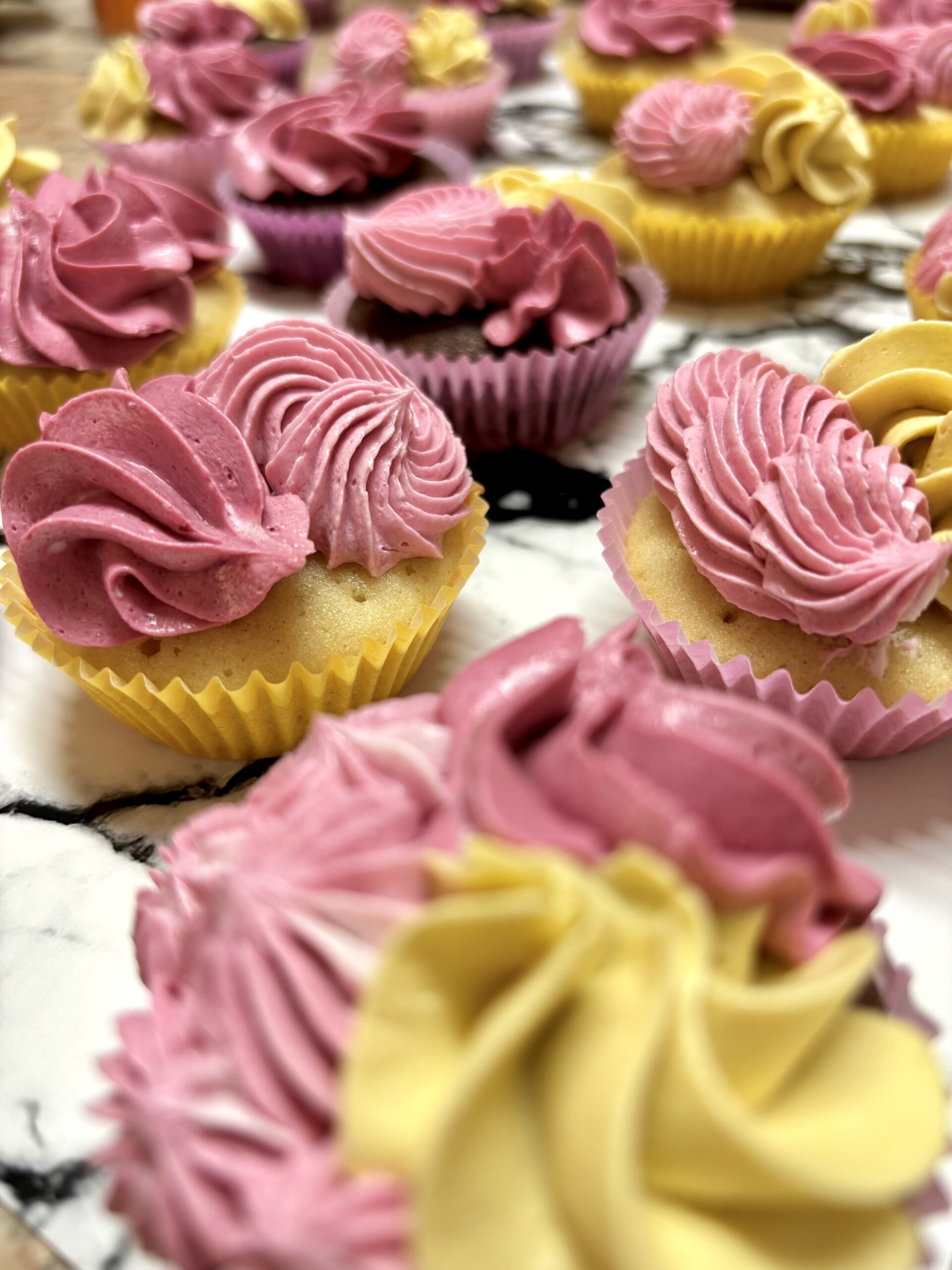 cake wordpress theme